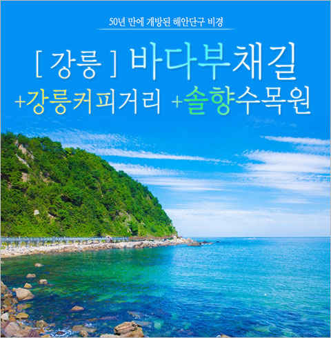 [서울/경기출발] 강릉 정동심곡부채길+강릉커피거리+솔향수목원