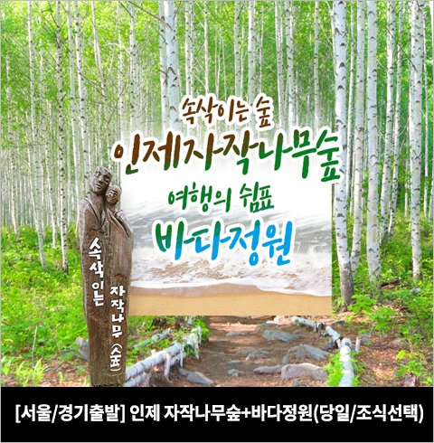 [서울/경기출발] 인제자작나무숲+바다정원(당일)