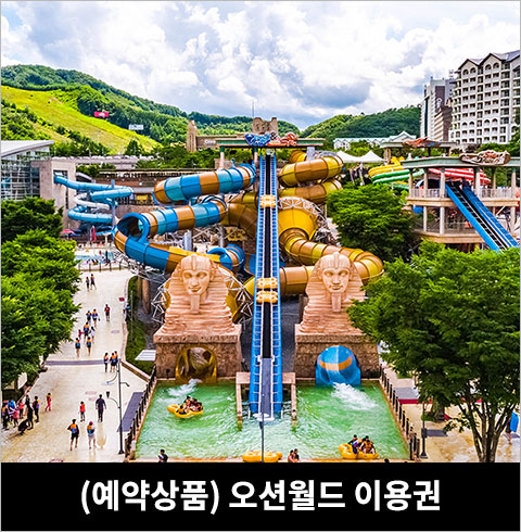 [홍천/비발디파크] 오션월드 종일권