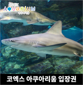 [강남]코엑스 아쿠아리움 대인/소인 공용권