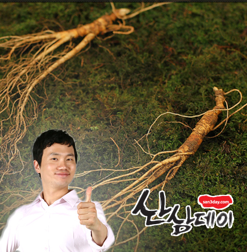 안상태 산삼데이 산양산삼 선물세트