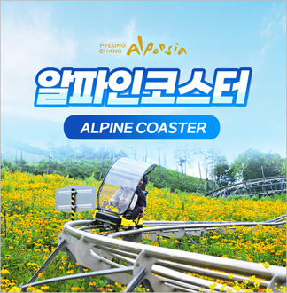 [평창] 알펜시아 알파인코스터-주중...