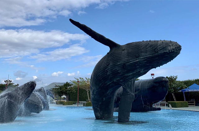 대만 컨딩 해양생물박물관 티켓