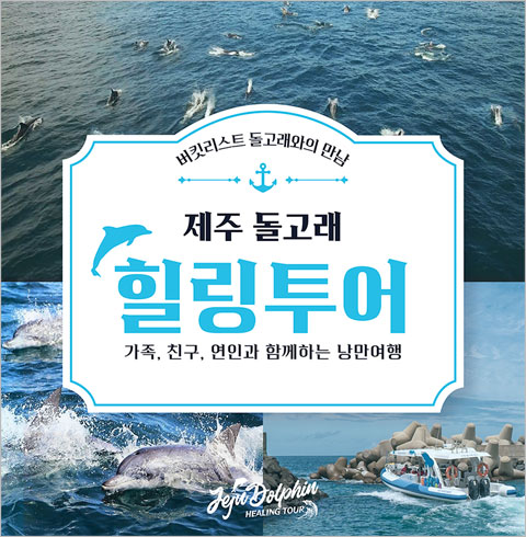 제주 돌고래 힐링투어