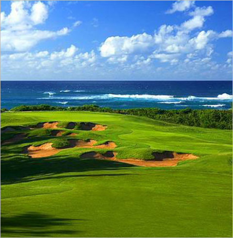 하와이 골프투어-PGA 빅아일랜드2박/오아후3박(힐튼 와이콜로아 패키지) 패키지