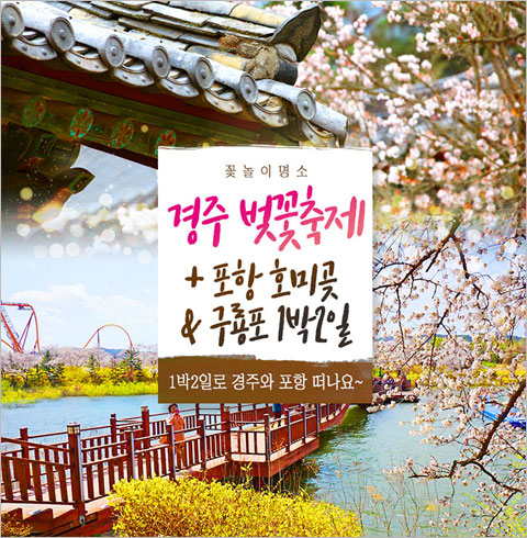 [서울/경기출발] 경주 벚꽃축제+포항 호미곶&구룡포(1박2일)