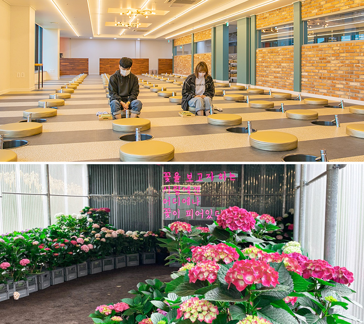 제주 오늘은녹차족욕+카멜리아힐