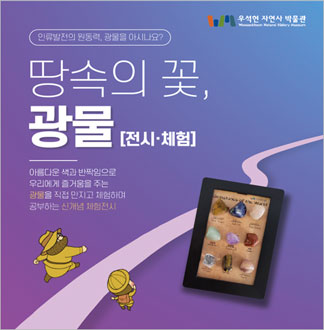 [남양주] 땅속의 꽃, 광물 전시/...