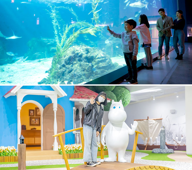 아쿠아플라넷 제주+무민랜드제주|구매...