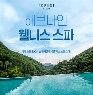 [제천] 해브나인 웰니스 스파 이용...