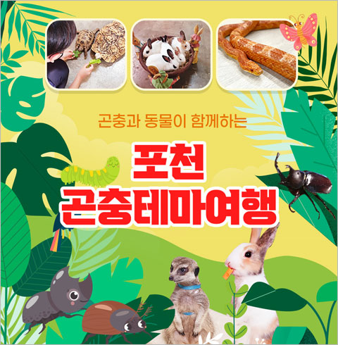 [포천] 포천 곤충테마여행 입장권-당근컵(~06/30)