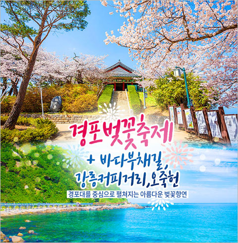 [서울/경기출발] 경포벚꽃축제&바다부채길,강릉커피거리,오죽헌(당일) 