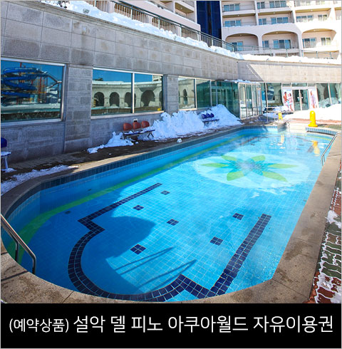 [강원/대명] 설악 델피노 아쿠아월드 자유이용권