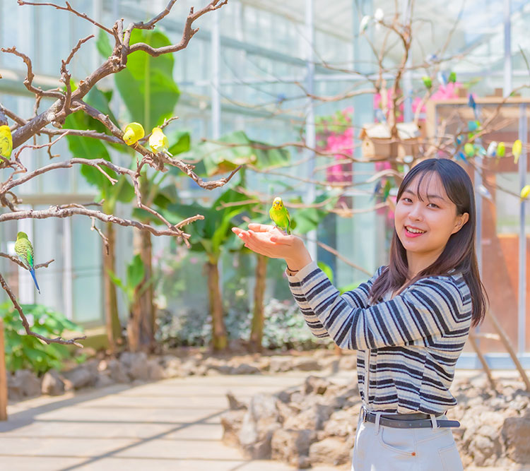 화조원_조류동물원