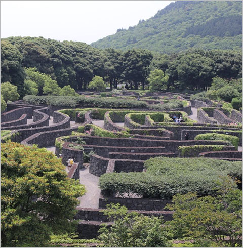 [제주도] 미로 테마파크 메이즈랜드