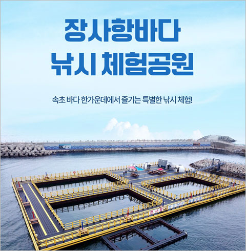 [속초] 장사항바다낚시체험공원-미끼(오징어)(~03/31)