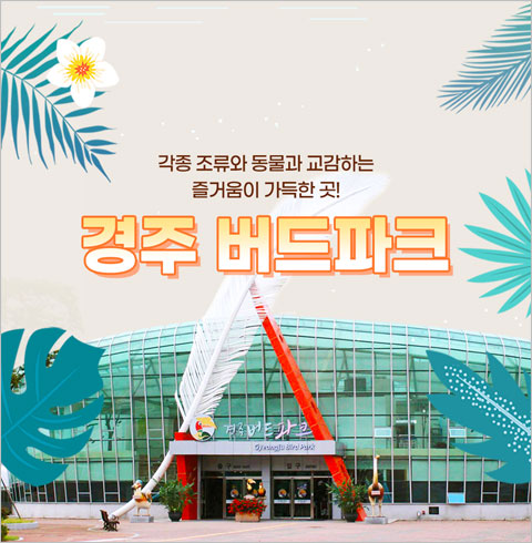 [경주] 경주 버드파크-성인 1인 입장권(09/01~12/31)