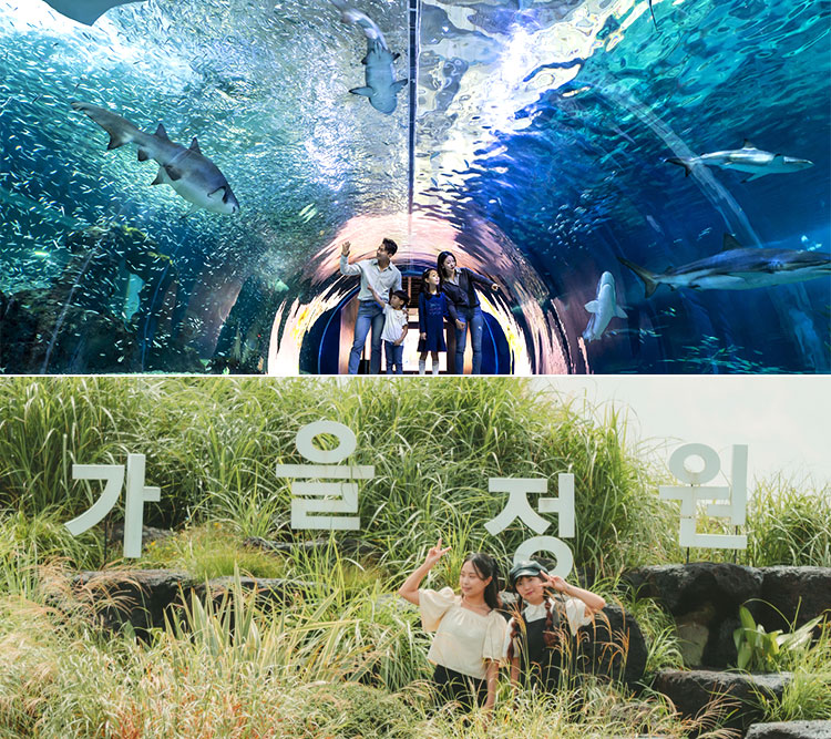 아쿠아플라넷 제주+카멜리아힐|구매혜...