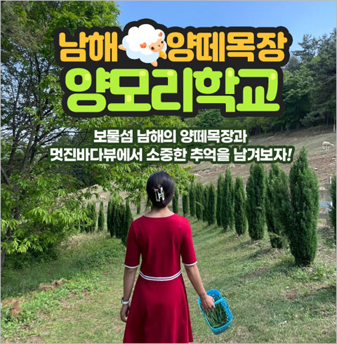 [남해] 남해 양떼목장 양모리학교 대인 1인권