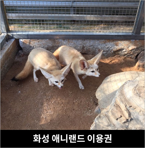 [화성] 화성 애니랜드 이용권