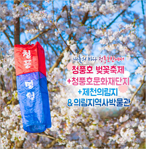 [서울/경기출발] 청풍호 벚꽃축제+청풍호문화재단지+제천의림지&의림지역사박물관(당일)