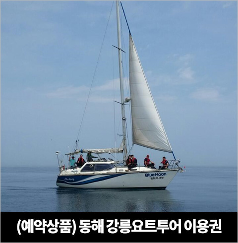 [강릉/체험] 이스트마린 요트투어
