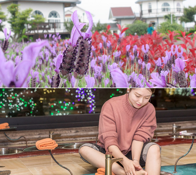 허브동산 입장+족욕체험