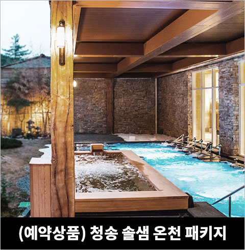 [대명리조트] 청송 솔샘온천 입장권