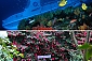 서귀포잠수함+카멜리아힐
