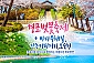 [서울/경기출발] 경포벚꽃축제&바다부채길,강릉커피거리,오죽헌(당일) 