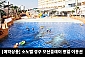 [경북/경주] 소노벨 경주 오션플레이 종일이용권