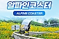 [평창] 알펜시아 알파인코스터-주중 소인 1회권(08/20~10/29)