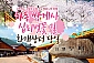 [서울/경기출발] 하동 쌍계사 십리벚꽃길+화개장터(당일)