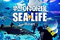 [부산] 아쿠아리움 대인/소인/주말/주중 공용권