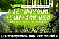 [서울/경기출발] 대전 장태산휴양림+성심당+계족산 황톳길(당일)