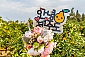 제주왕감귤체험농장
