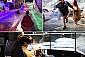 아이스뮤지엄3D착시아트+플레이박스VR_수목원테마파크
