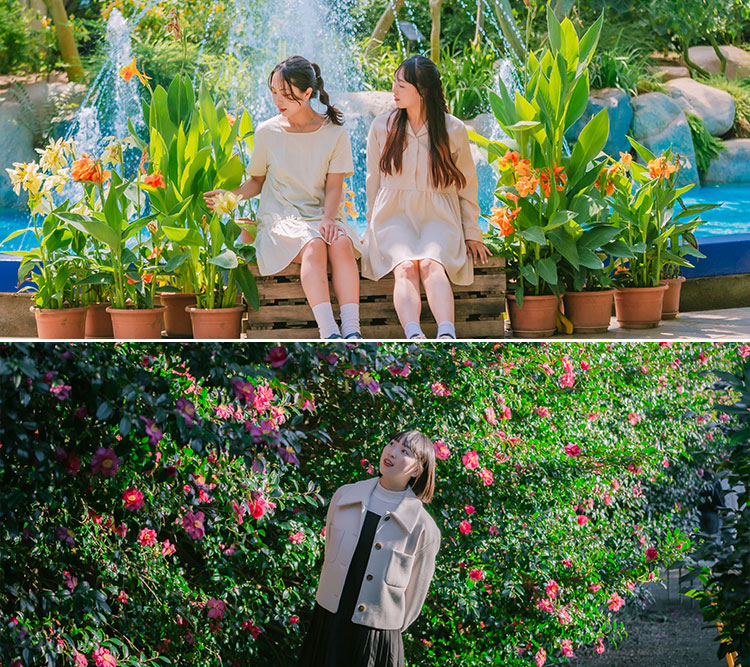 여미지식물원+카멜리아힐