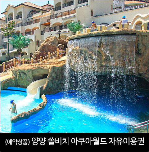  [양양/대명] 양양 쏠비치 아쿠아월드 자유이용권