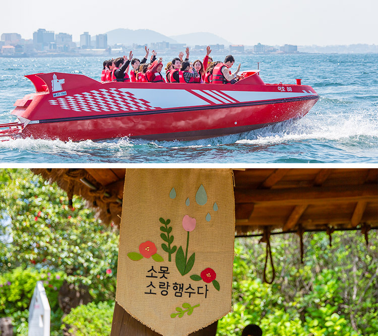 제주해양레저타운 제트보트+카멜리아힐