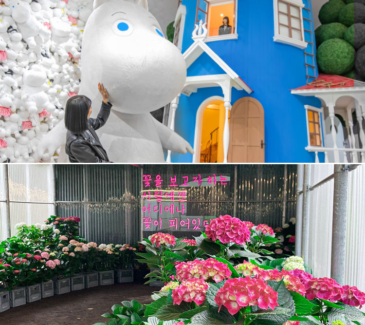 무민랜드제주+카멜리아힐_특가